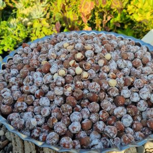 فندق محلی روش شورکاری عربی