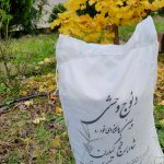 برنج دنوج وحشی پاییزه ۵ کیلویی