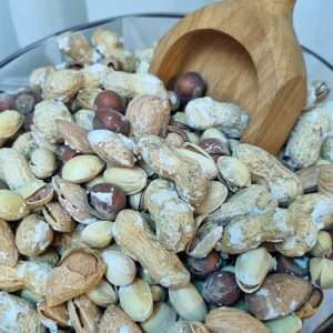 آجیل 4 مغز آریایی